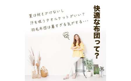 【カバー付き ブルー】春秋用 羽毛布団 サマーケット ダウンケット シングルロング | 寝具 布団