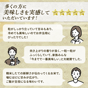 【令和7年産】 精米 こしひかり 10kg 白米 10kg(5kg×2袋)