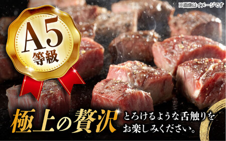 【6月発送】飛騨牛 サイコロステーキ 部位おまかせ 500g A5等級 和牛 ブランド牛 国産 牛肉 多治見市 / 渡辺精肉店 [TAZ038-6]