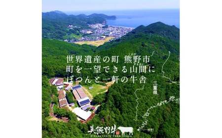 美熊野牛 サーロインステーキ 約300g×1枚 牛肉 国産牛【okad0009】