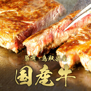 995.【和牛セレブ（12か月定期便）】鳥取県産牛ヒレステーキ2枚×12か月間