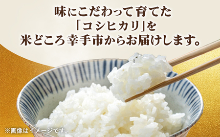 埼玉県幸手市産神扇機械化センターさんのコシヒカリ5kg - 米 精米 食味 こだわり