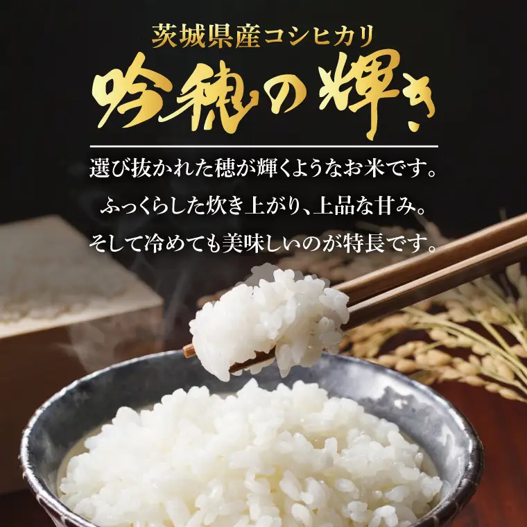 ＜令和７年産＞コシヒカリ 2kg 精米 こしひかり 米 ごはん コメ お米 白米 国産 茨城県産_AR013
