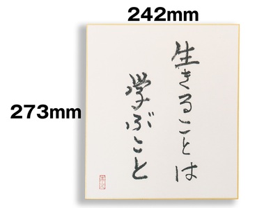 オールケアサイン色紙【生きることは学ぶこと】 [2566]