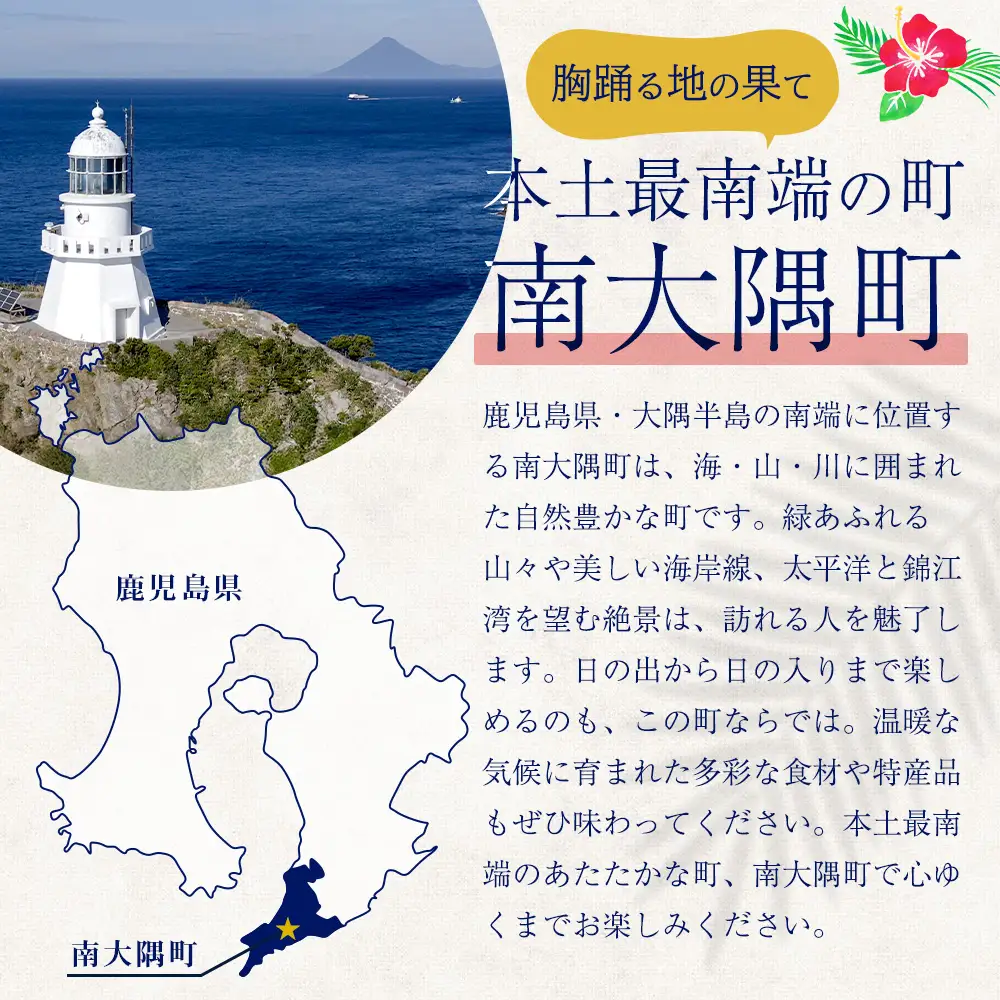 【返礼品なしの寄附】鹿児島県南大隅町 1口:6,000円 MN-10│鹿児島県 南大隅町 寄付 寄附 応援 支援 応援寄付金 支援寄付金 寄付のみ 返礼品なし 返礼品なしの寄付 6000円 