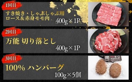 【3回定期便A】牛肉 美熊野牛 牛肉定期便【okad-tkb0011】