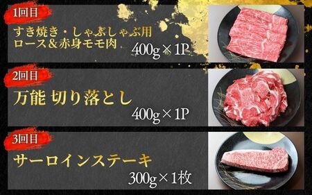 【3回定期便E】牛肉 美熊野牛 牛肉定期便【okad-tkb0015】