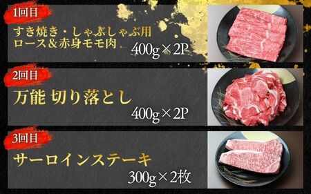 【3回定期便F】牛肉 美熊野牛 牛肉定期便【okad-tkb0016】