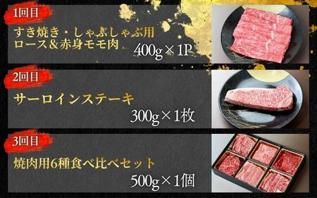 【3回定期便G】牛肉 美熊野牛 牛肉定期便【okad-tkb0017】