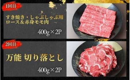 【4回定期便B】牛肉 美熊野牛 牛肉定期便【okad-tkb0020】