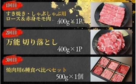 【5回定期便A】牛肉 美熊野牛 牛肉定期便【okad-tkb0023】