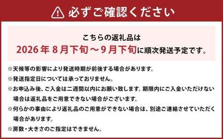 【先行予約】 岡山県産 ニューピオーネ 2kg 1箱 ／ ぶどう ブドウ フルーツ 【2026年8月下旬-9月下旬発送予定】 