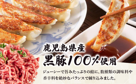 四川山椒が香る マーボー餃子セット
