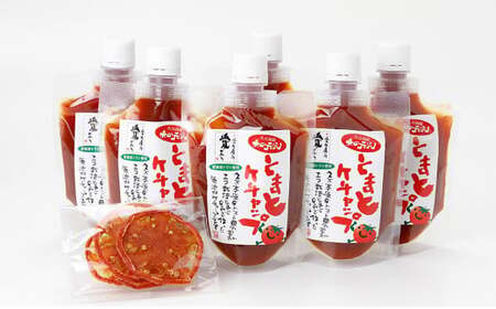 赤の元気 トマトケチャップセット【6個】※ドライトマト付 ケチャップ ドライトマト トマト 調味料 加工品 野菜 食料 濃厚 愛媛県 常温 （911）
