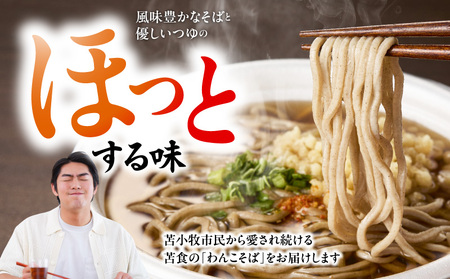 お手軽 おそば セット T064-001 加工食品 蕎麦 苫小牧の味 昼食 夕食