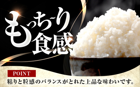 【3回定期便】 福井県産 コシヒカリ 精米 (白米) 10kg 一等級　福井県米 /甘みと粘りが際立つ 王道米 こしひかり 小浜市 / 若狭ふれあい市場[BFEL031]