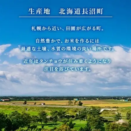 北海道長沼産 ななつぼし 10kg(5kg×2袋) 精米 特A 契約栽培米 美味しいお米【1688525】