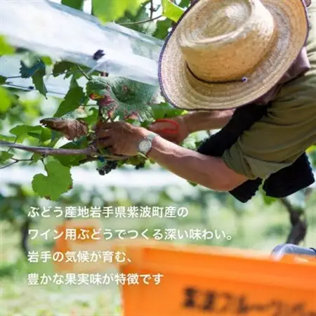 自園自醸ワイン紫波 プレミアムワイン2本セット【1688279】