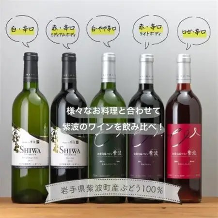 自園自醸ワイン紫波 辛口ワイン5本セット【1688301】