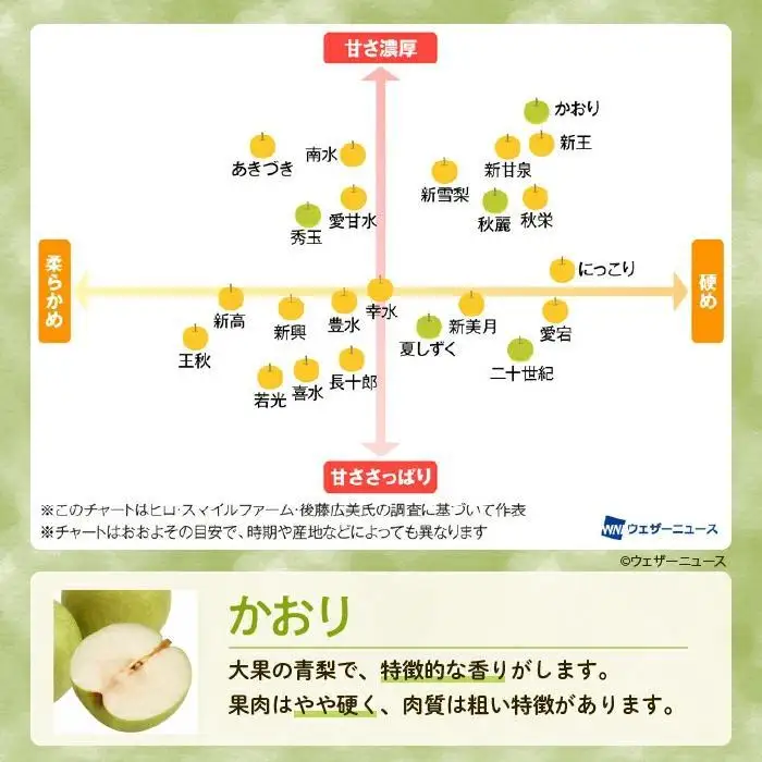 【かおり3kg】かまがやの梨