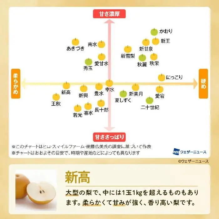 ※先行受付※【新高3kg】かまがや育ちの完熟梨（梨業組合）
