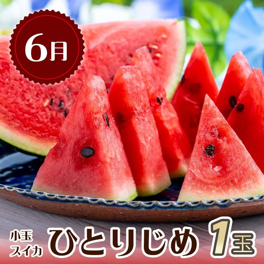 【全3回 定期便】 紀州和歌山産旬のフルーツセット（6月：スイカ・7月：桃・8月：梨） ［UT138］