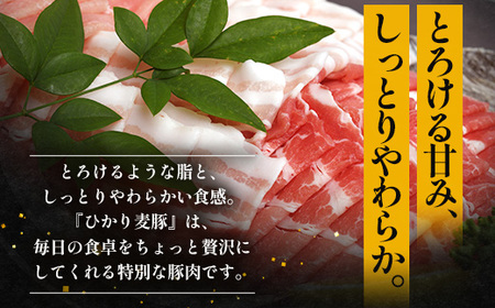 【定期便全3回】鹿児島県産 ひかり麦豚 しゃぶしゃぶ 食べ比べセット 約1kg（200g×5パック） トレーなし 冷凍 HM-14 | 肉 お肉 にく 豚肉 ロース 肩ロース バラ肉 スライス 真空冷凍 産地直送 新鮮 小分け 甘み 産地直送 鹿児島県 南大隅町 ひかり麦豚直売所