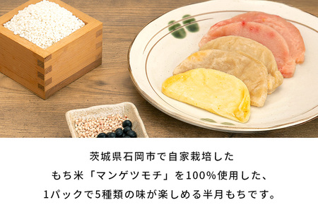 Sumiya半月五色もちギフトBOX もち 餅 茨城県 石岡市 E23-002
