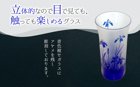 一口ビール　アヤメ　青 SMCT003