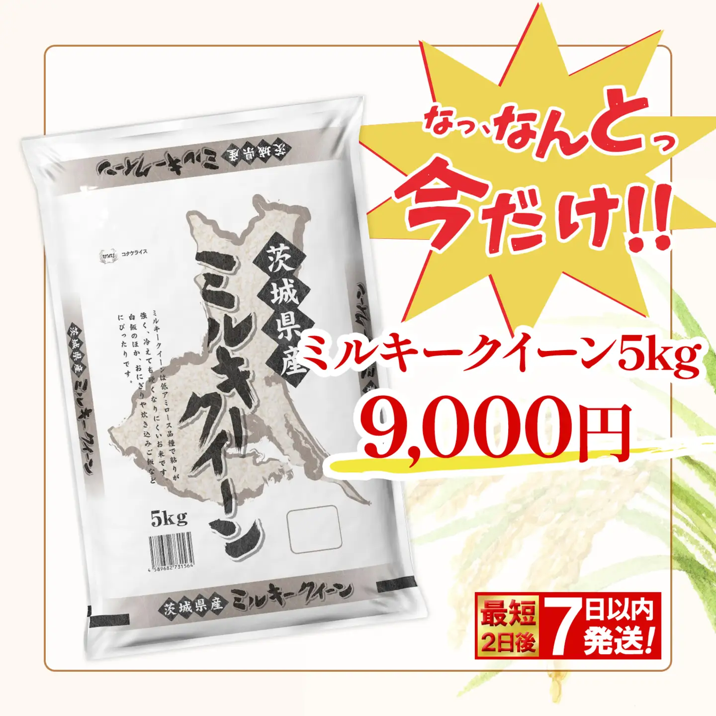 ミルキークイーン 5kg 07年産　茨城県産 5kg✖️4袋　20kg 精米 茨城県産 ミルキークイーン 5kg 令和7年産: 全国おいしいお米発見