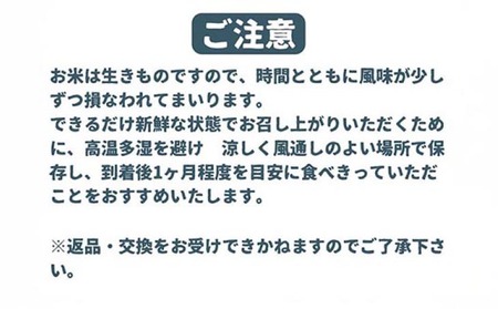 令和7年産新米　淡路島産こしひかり　白米10kg