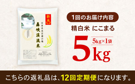 【12回定期便】 精白米(にこまる) 5kg 轟峡渓流米 / 米 白米 精白米 新米 / 轟名水ファーム高来 / 諫早市[AHFF014]