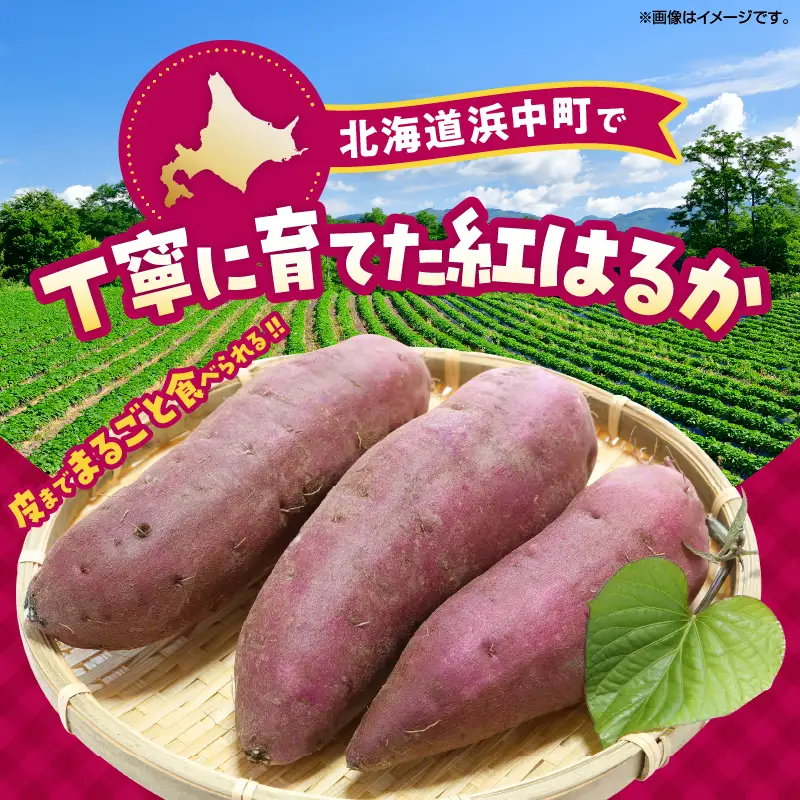 紅はるかの冷凍焼き芋(計2kg)_H0049-104