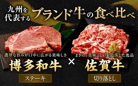 博多和牛 ステーキ （ヒレ） 4枚 （計約600g） ＋ 佐賀牛 切り落とし 400g ／ 黒毛和牛 黒毛和種 和牛 牛肉 お肉 肉 ヒレ肉 セット 国産 九州 福岡県 太宰府市 冷凍