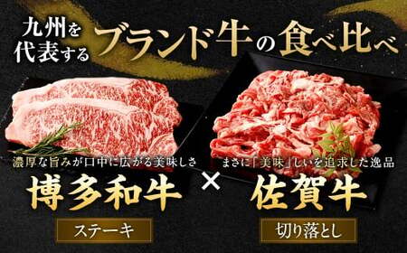 博多和牛 ステーキ （サーロイン） 2枚 （計約500g） ＋ 佐賀牛 切り落とし 400g ／ 黒毛和牛 黒毛和種 和牛 牛肉 お肉 肉 サーロイン肉 セット 国産 九州 福岡県 太宰府市 冷凍