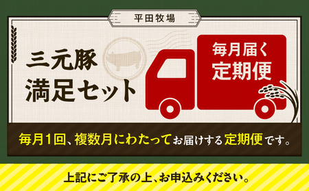 【 全3回 毎月 定期便 】 日本 の 米育ち 平田牧場 の 満足セット ！ T036-T05-01 肉 豚肉