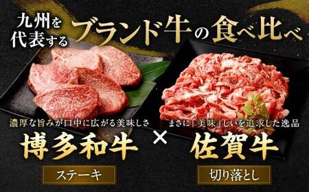 博多和牛 ステーキ （モモ） 10枚 （計約1kg） ＋ 佐賀牛 切り落とし 400g ／ 黒毛和牛 黒毛和種 和牛 牛肉 お肉 肉 もも モモ肉 もも肉 霜降り セット 国産 九州 福岡県 太宰府市 冷凍