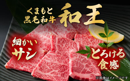 くまもと黒毛和牛 和王 カルビ 焼肉用 計約800g BHBQ011 カルビ