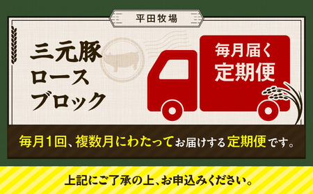 【 全12回 毎月 定期便 】 日本 の 米育ち 平田牧場 三元豚 ロース ブロック 600g T036-T06-03 肉 豚肉