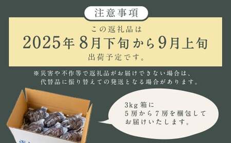 【先行予約】 宝玉農園 ピオーネ 5房～7房 （約3kg） 【2026年8月下旬～9月上旬より順次発送予定】