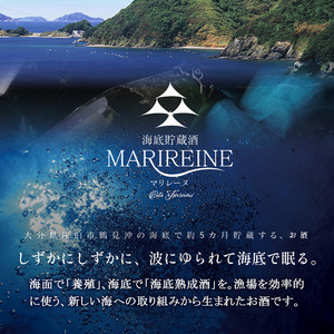 海底貯蔵ワイン 赤 MARIREINE ヴァンプレッショニスト ピュール サン シラー マルスラン 2022(750ml・1本) フランスワイン ワイン 赤ワイン 酒 パーティー 海底酒 熟成 大分県 佐伯市【FP028】【フルタ酒店】