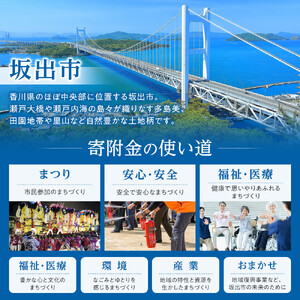 【返礼品なし】坂出市　寄附のみの応援寄附金　10,000円　（返礼品はありません）