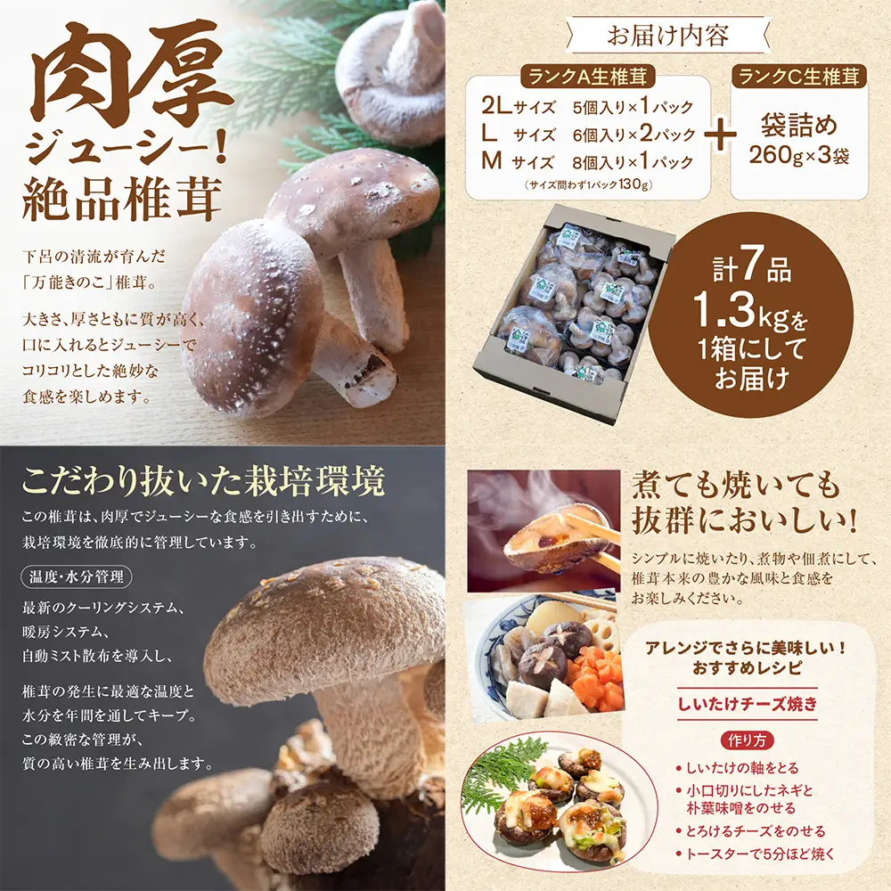  菌床生椎茸  詰め合せセット（4パック＋3袋）7品  計1.3kg 【119-1】