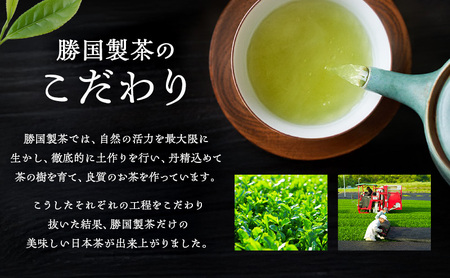 煎茶 鈴子 100g×２個セット 熨斗 のし あり お茶 贈答用 ギフト お中元 お手玉（のし有）