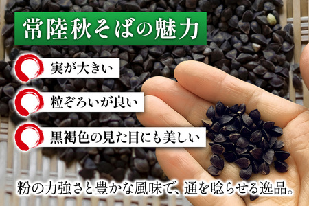 そば粉（常陸秋そば）10kg そば 粉 蕎麦 蕎麦粉 国産 茨城県 那珂市 B19-001