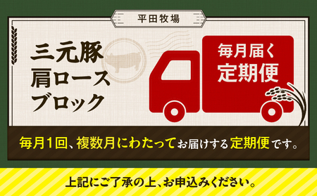 【 全3回 毎月 定期便 】 日本 の 米育ち 平田牧場 三元豚 肩ロース ブロック 600g T036-T10-01 肉 豚肉