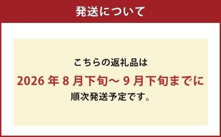 オーロラブラック 2房 （1房480g以上） 化粧箱入り 【2026年8月下旬～9月下旬迄発送予定】 ／ 葡萄 ぶどう 果物 果実 フルーツ 岡山県 美咲町 冷蔵