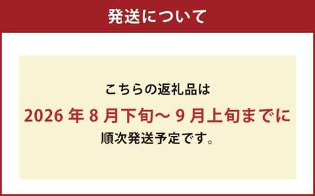 黄金桃 6玉 （1.6kg以上） 化粧箱入り 【2026年8月下旬～9月上旬迄発送予定】 ／ 黄桃 桃 もも 果物 果実 フルーツ 岡山県 美咲町 冷蔵