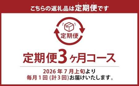 【ぶどう定期便3回】 （マスカットオブアレキサンドリア ・ ニューピオーネ ・ 晴王） 【2026年7月上旬より発送開始】 ／ 3回 マスカット シャインマスカット 葡萄 ぶどう 果物 果実 フルーツ 旬 定期便 岡山県 美咲町 冷蔵