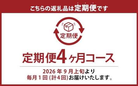【果物定期便4回】 （ニューピオーネ ・ 晴王 ・ 紫苑 ・ あたご梨） 【2026年9月上旬より発送開始】 ／ 4回 葡萄 ぶどう マスカット シャインマスカット 梨 なし 果物 果実 フルーツ 旬 定期便 岡山県 美咲町 冷蔵 常温